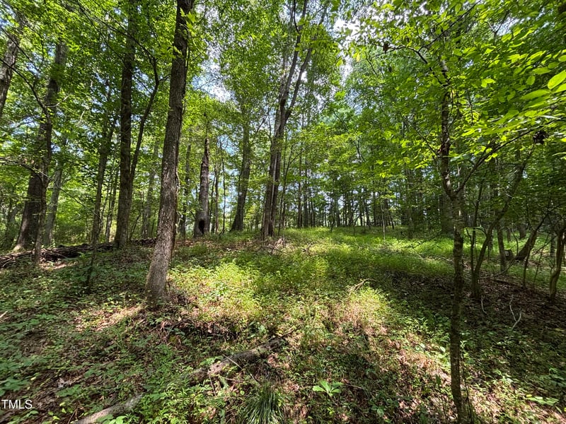 Winston Rd, Creedmoor, NC 27522