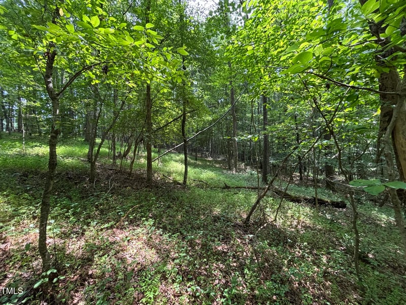 Winston Rd, Creedmoor, NC 27522