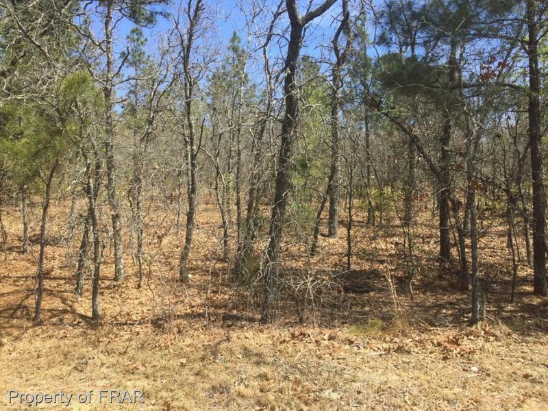 0 Wood Pine, Sanford, NC 27332