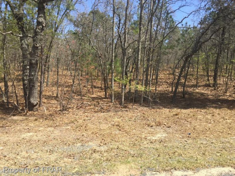 0 Wood Pine, Sanford, NC 27332
