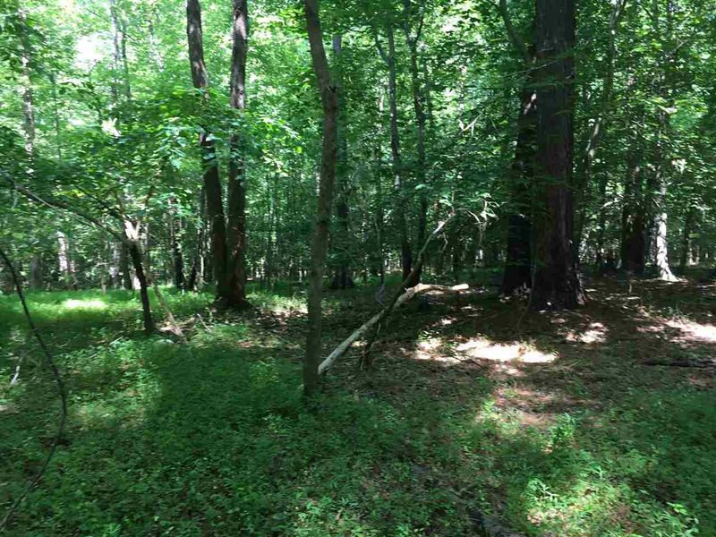 0 Woodlief Rd Lot 4, Wake Forest, NC 27587