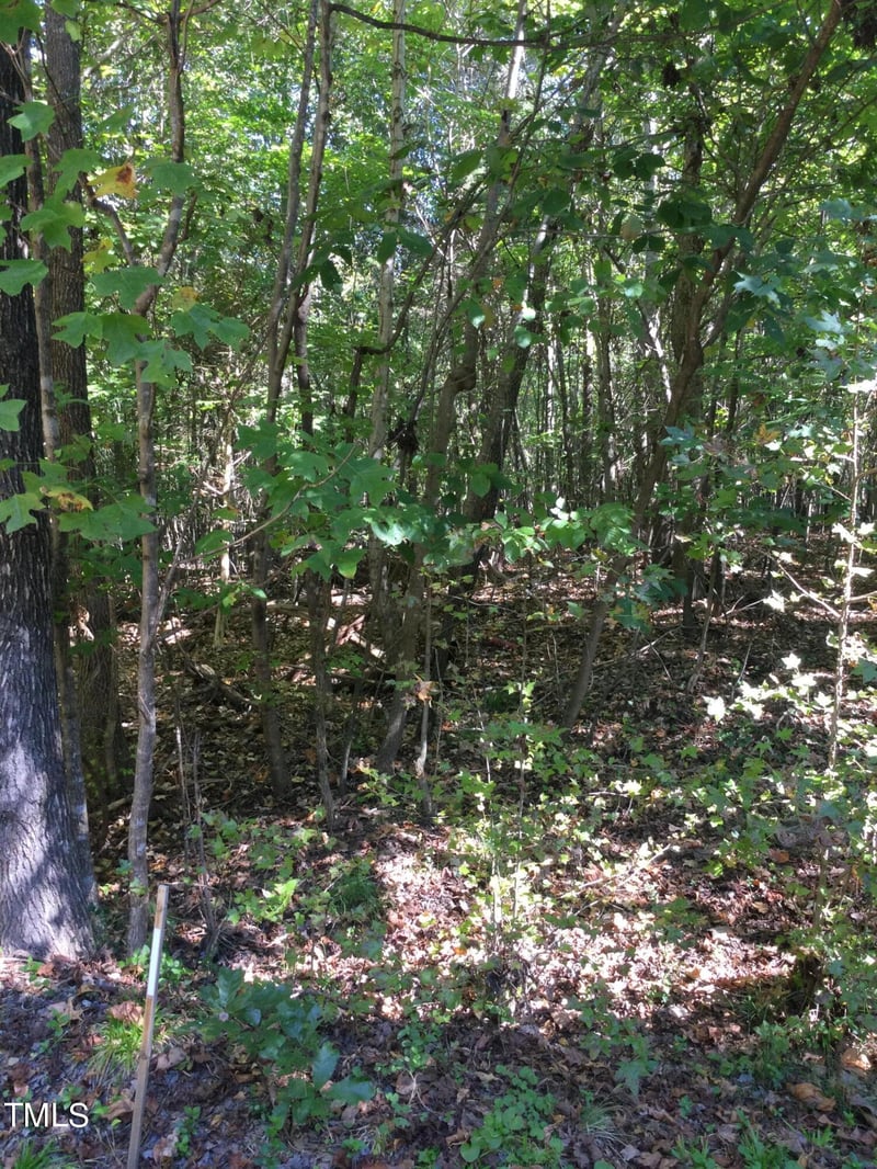 00 - 000 Terrell St Lot 66-79,108-, Mebane, NC 27302