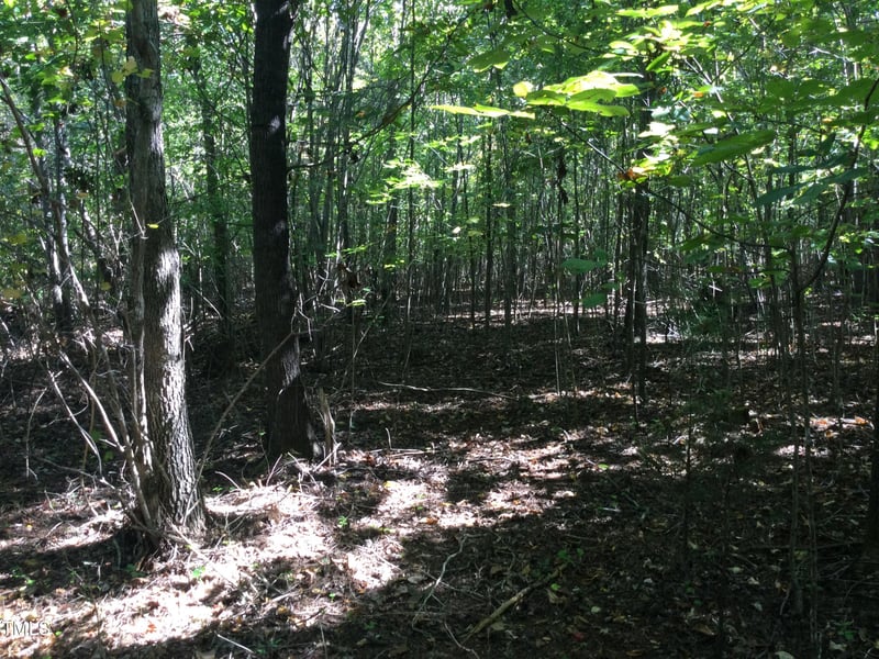 00 - 000 Terrell St, Mebane, NC 27302