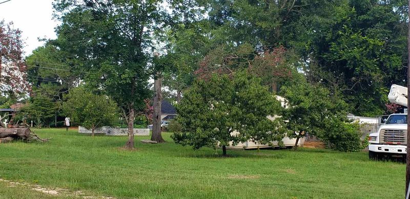 00 S 9th St Lot 95, Lillington, NC 27546