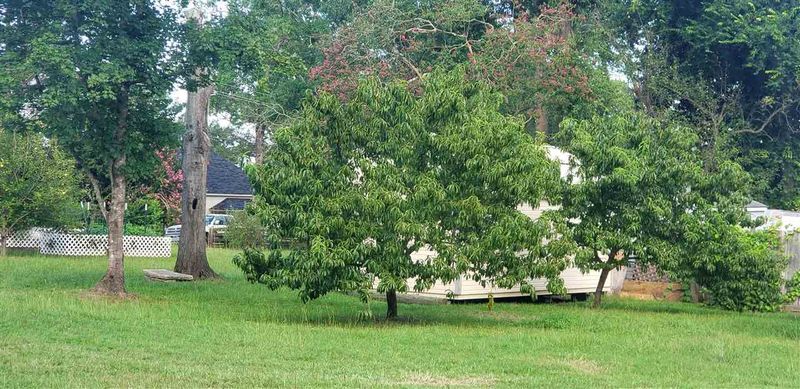 00 S 9th St Lot 95, Lillington, NC 27546