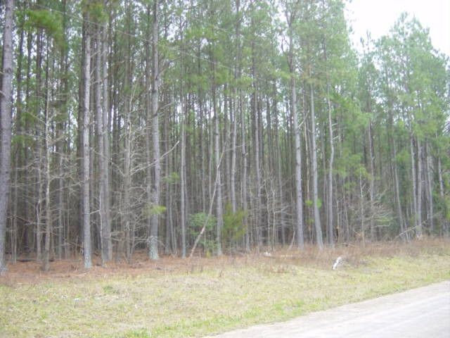 00 Alert Rd, Louisburg, NC 27549