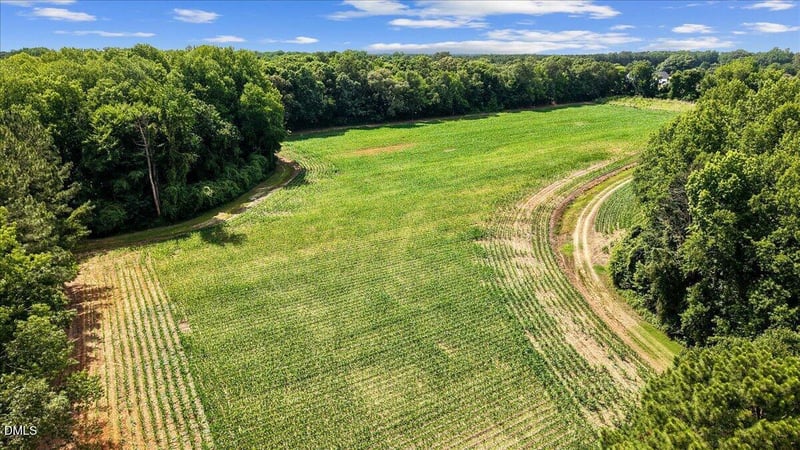 00 Antioch Church Rd Lot x, Middlesex, NC 27557