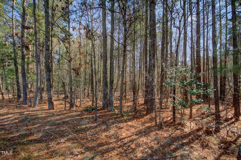 00 Bowman Bare Rd Lot 1, Pittsboro, NC 27312