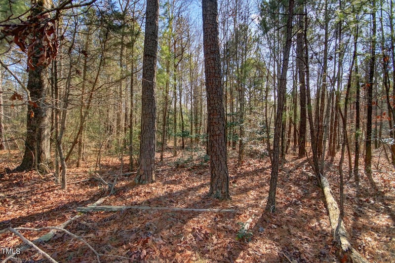 00 Bowman Bare Rd Lot 1, Pittsboro, NC 27312