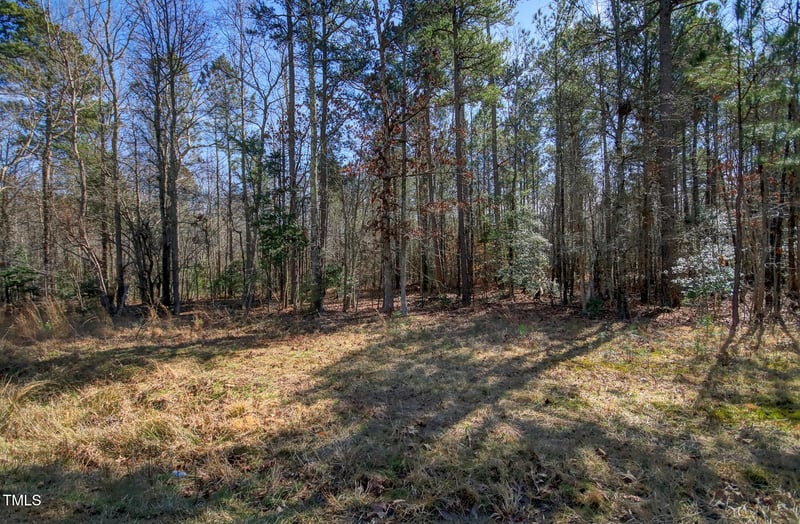 00 Bowman Bare Rd Lot 1, Pittsboro, NC 27312
