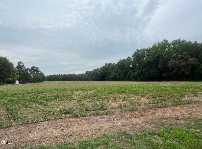 00 Brinkley Rd Lot 1, Dunn, NC 28334