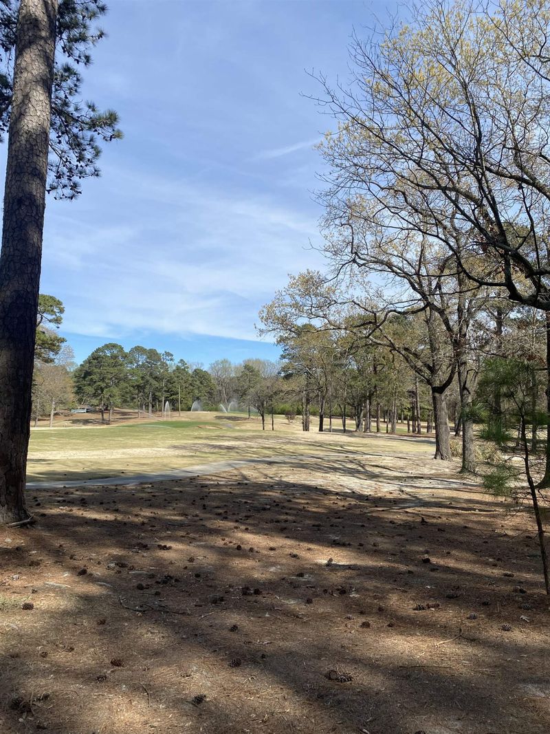 00 British Ct Lot 14, Smithfield, NC 27577