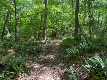 00 Crawford Dairy Rd Lot Tract 1&2, Chapel Hill, NC 27516