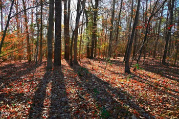 00 Creedmoor Rd Lot Tr 5B, Wake Forest, NC 27587