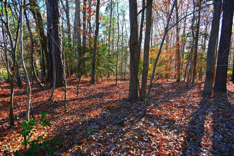 00 Creedmoor Rd Lot Tr 5B, Wake Forest, NC 27587