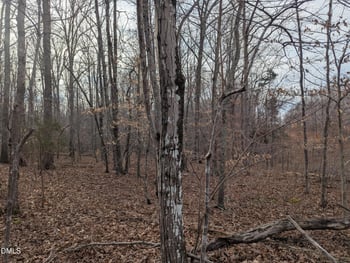 00 Dirgie Mine Rd Lot 3, Roxboro, NC 27574