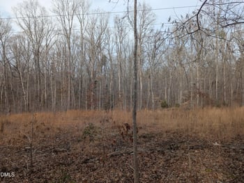 00 Dirgie Mine Rd Lot 3, Roxboro, NC 27574