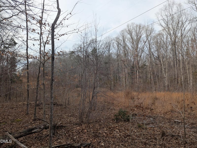 00 Dirgie Mine Rd Lot 3, Roxboro, NC 27574