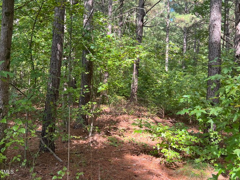 00 Farrell Rd Lot n/a, Sanford, NC 27330