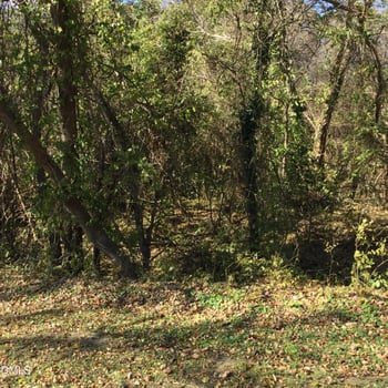 00 Gant Rd, Graham, NC 27253