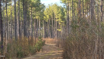 00 Hal Moore Ln Lot 2, Louisburg, NC 27549