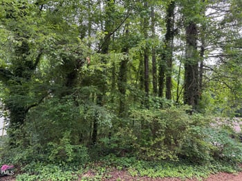 00 High St, Henderson, NC 27536