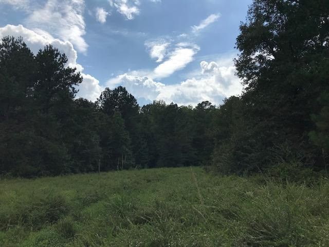 00 James Norris Rd, Angier, NC 27501
