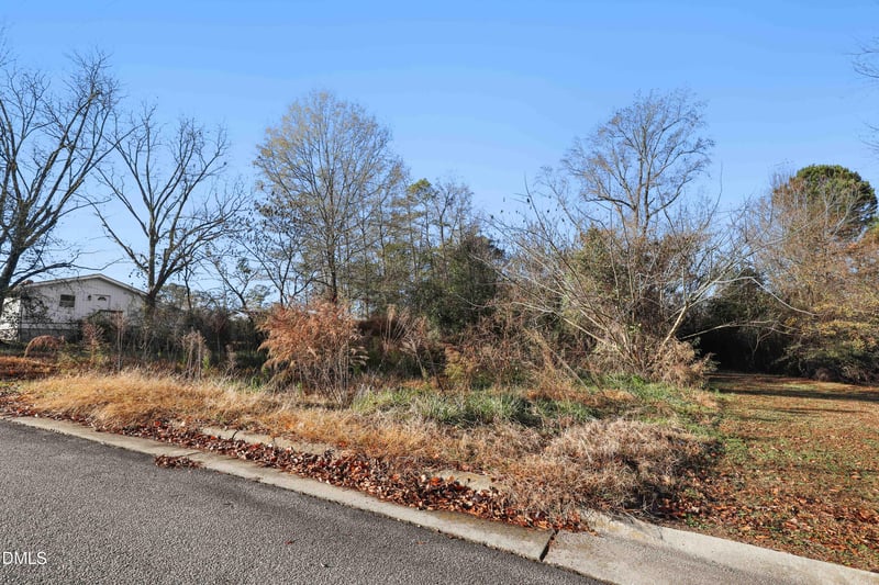 00 Johnson St, Benson, NC 27504