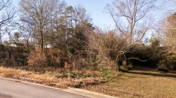 00 Johnson St, Benson, NC 27504