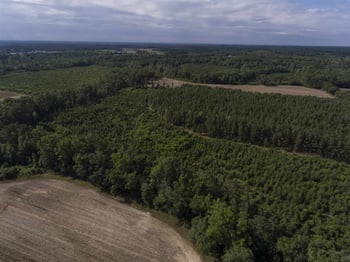00 Josey Williams Rd Lot 1, Erwin, NC 28339