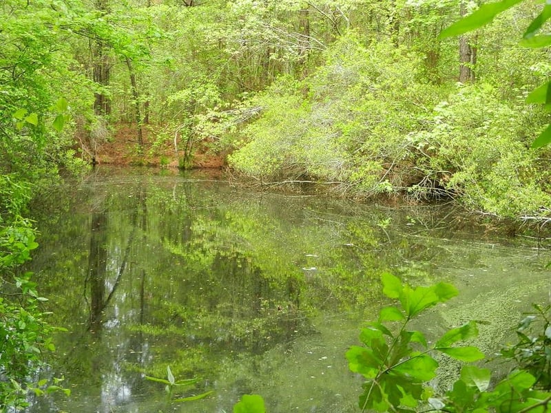 00 Lewis Rd Lot 1, Zebulon, NC 27597