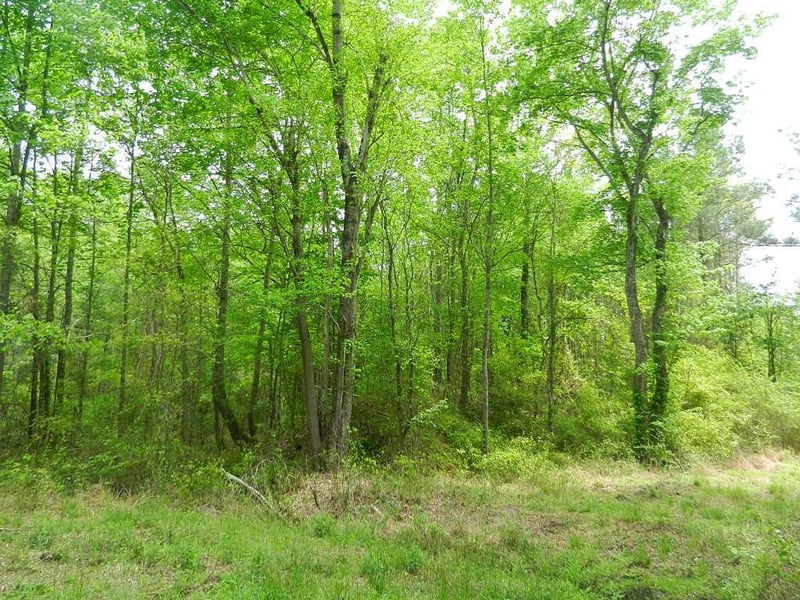 00 Lewis Rd Lot 1, Zebulon, NC 27597