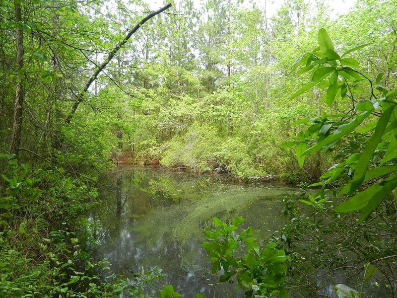 00 Lewis Rd Lot 1, Zebulon, NC 27597