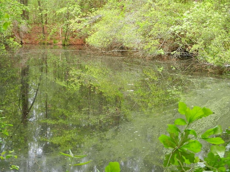 00 Lewis Rd Lot 1, Zebulon, NC 27597