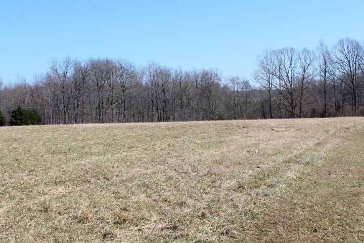 00 Liberty Grove Rd Lot 4B, Liberty, NC 27298