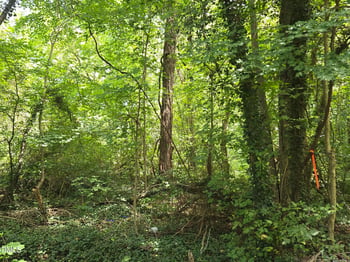 00 Maple Ave Lot 183853, Burlington, NC 27215