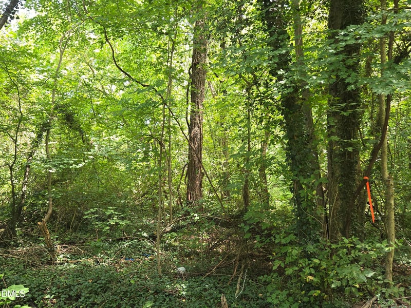 00 Maple Ave Lot 183853, Burlington, NC 27215