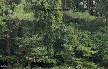 00 Massengill Farm Rd, Benson, NC 27504