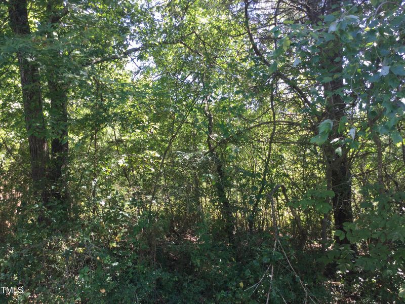 00 Miles Chapel Rd, Mebane, NC 27302