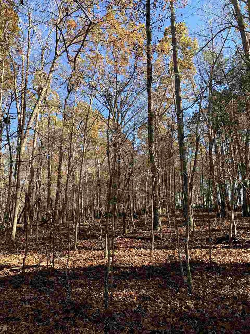 00 Mollie Mooney Rd, Roxboro, NC 27574