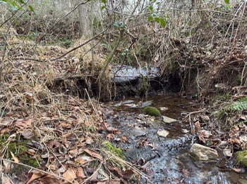 00 Mt Pleasant Church Rd, Manson, NC 27553