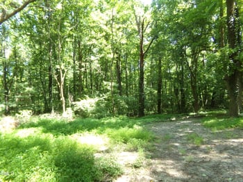 00 Nc 98 , Louisburg, NC 27549