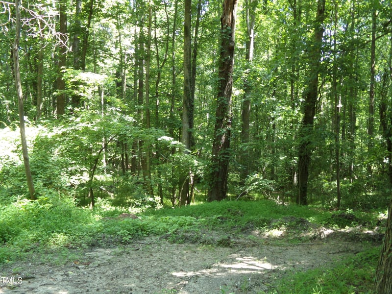 00 Nc 98 , Louisburg, NC 27549