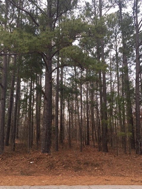 00 Nickel Dr Lot 21, Clayton, NC 27520