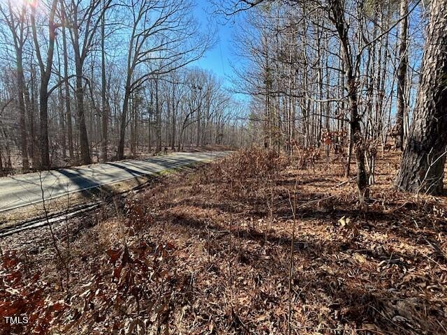 00 Ode Turner Rd Lot 3A, Hillsborough, NC 27278
