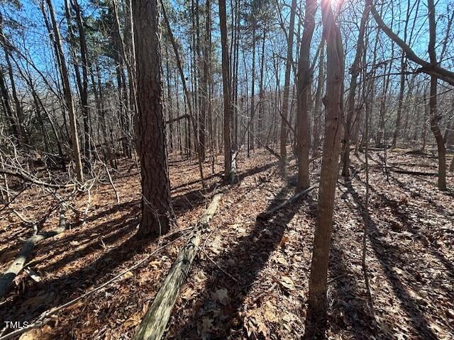 00 Ode Turner Rd Lot 3A, Hillsborough, NC 27278