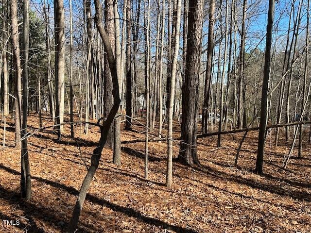 00 Ode Turner Rd Lot 3A, Hillsborough, NC 27278