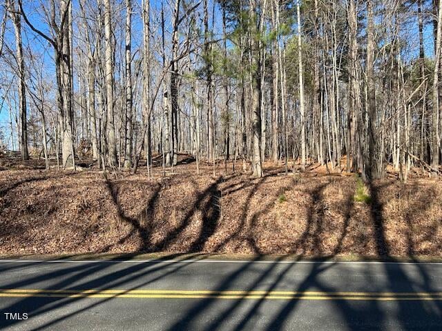 00 Ode Turner Rd Lot 3A, Hillsborough, NC 27278