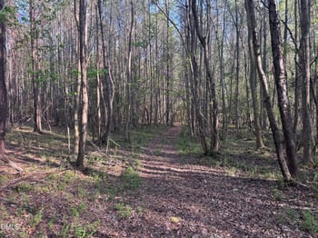 00 Old Carriage Rd, Rocky Mount, NC 27803