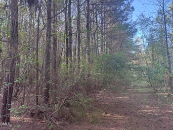 00 Old Carriage Rd, Rocky Mount, NC 27803